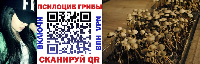 Галлюциногенные грибы GOLDEN TEACHER  маркетплейс клад  Талдом 